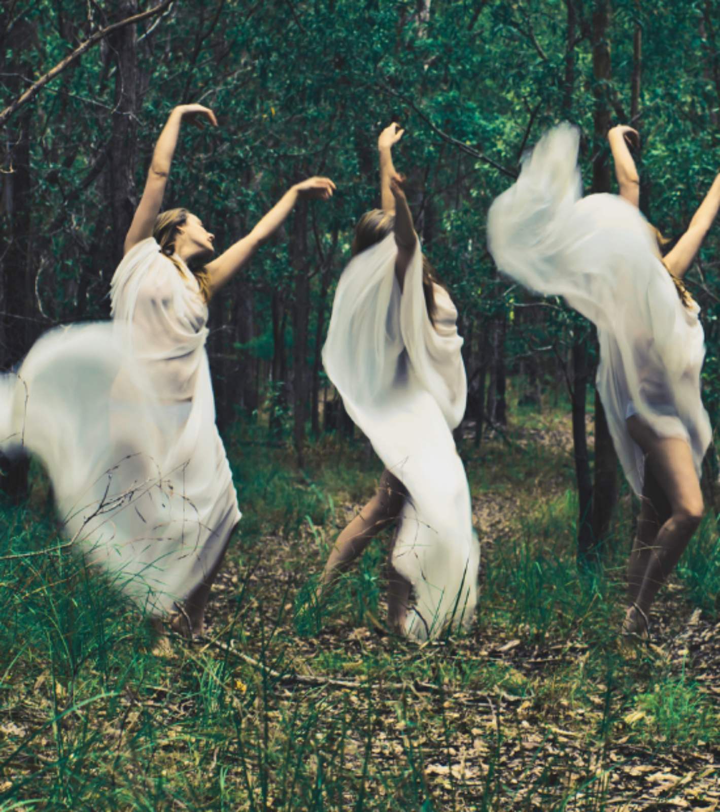 IMG-a955ff81fcb2fe2c54bbec56938aa97c-V